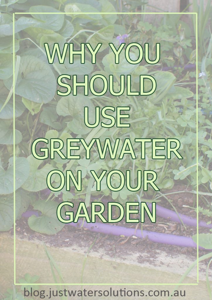 why you should use greywater on your garden